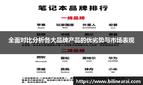 全面对比分析各大品牌产品的优劣势与市场表现